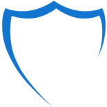 Logo The National Security Group, Inc.
