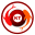 Logo Visant Holding Corp.