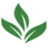 Logo Warren Tea Ltd.