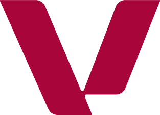Logo Virtualcfo Holdings, Inc.