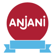 Logo Anjani Synthetics Ltd.