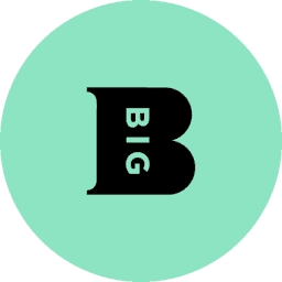 Logo The BIG Partnership Group Ltd.