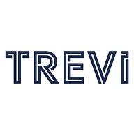 Logo Trevi Systems, Inc.