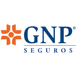 Logo Grupo Nacional Provincial SA