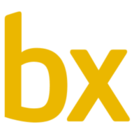 Logo Budimex SA