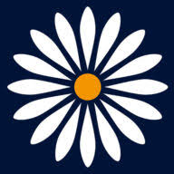 Logo Daisy IT Managed Services Ltd.