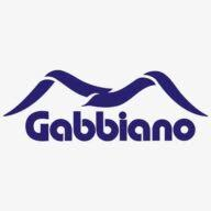 Logo Gabbiano SpA (Mantova)