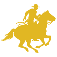 Logo Access Venture Partners LLC
