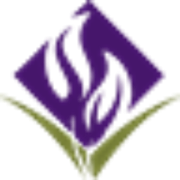 Logo Saint Vincent Hospital LLC