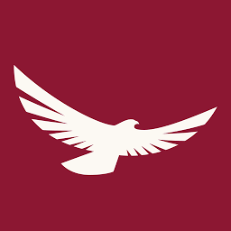 Logo Gray Hawk Systems, Inc.