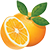 Logo Dundee Citrus Growers Association