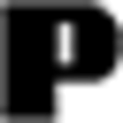 Logo Panduit Corp.