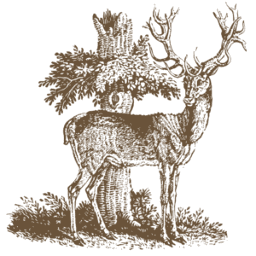 Logo Stag's Leap Wine Cellars LLC