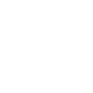 Logo Pinnacle Taxx, Inc.