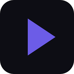 Logo Playlogic Entertainment, Inc.