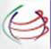 Logo Prithvi Information Solutions Ltd.