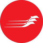 Logo Hellenic Seaways Maritime SA