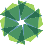 Logo Addison Professional Financial Search LLC