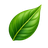 Logo Herborium, Inc.