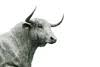 Logo Gusrae, Kaplan, Bruno & Nusbaum PLLC