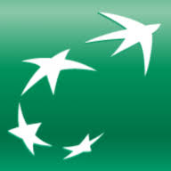 Logo BNP Paribas (Singapore Branch)