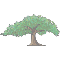 Logo Smith/Packett Med-Com LLC