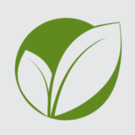 Logo The Florida Forestry Association