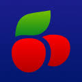 Logo Silicon Valley Campaign for Legal Services