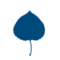 Logo Aspen Institute Germany eV