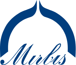 Logo Moscow International Higher Business School