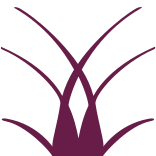 Logo Delubac Asset Management SA