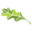 Logo White Oaks Wealth Advisors, Inc.