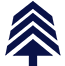 Logo BlueTree Allied Angels LLC