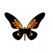 Logo Advanced Finance & Investment Group LLC