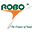 Logo Robo Silicon Pvt Ltd.
