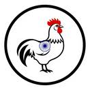 Logo Rajeswari Infrastructure Ltd.