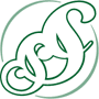 Logo Collins Sarri Statham Investments Ltd.