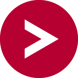 Logo Vector Informatik GmbH