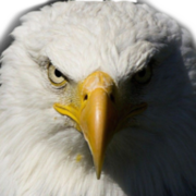 Logo Eagle Electric, Inc. (Utah)