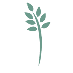 Logo Hospice of the Piedmont, Inc.