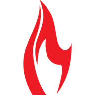 Logo Burn Institute
