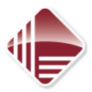 Logo Link Computer Corp.
