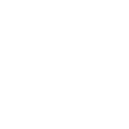 Logo Intrepid LLC