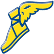 Logo Goodyear SA