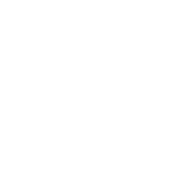 Logo Peerless Technologies Corp.