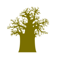Logo Pareto Ltd.