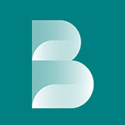 Logo Roland Berger NV