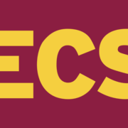 Logo 2XL NV