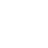 Logo Terminal Internacional Del Sur SA