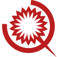 Logo PW Defence Ltd.